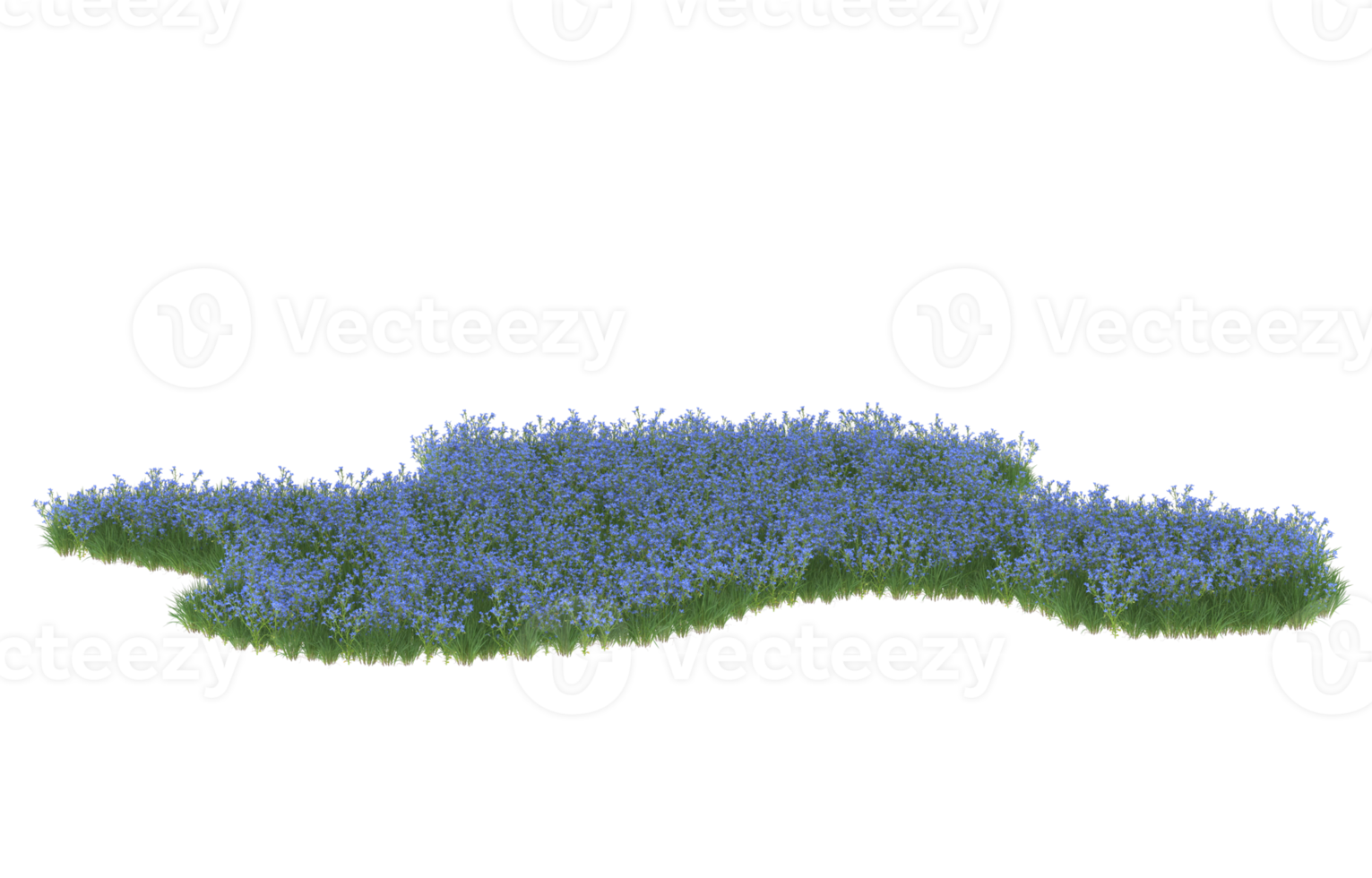 realistisk lövverk isolerat på transparent bakgrund. 3d tolkning - illustration png