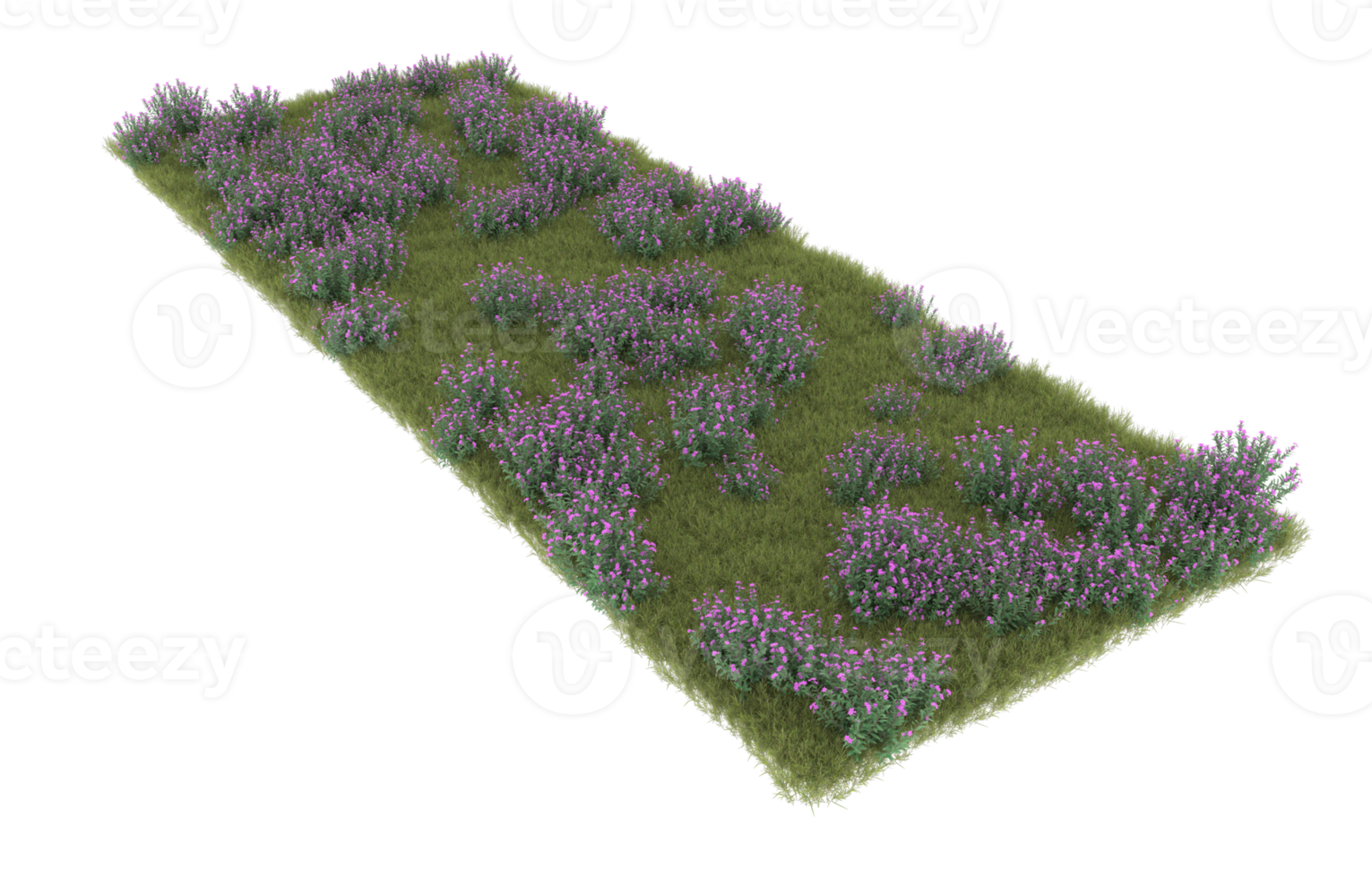 Realistic foliage isolated on transparent background. 3d rendering - illustration png