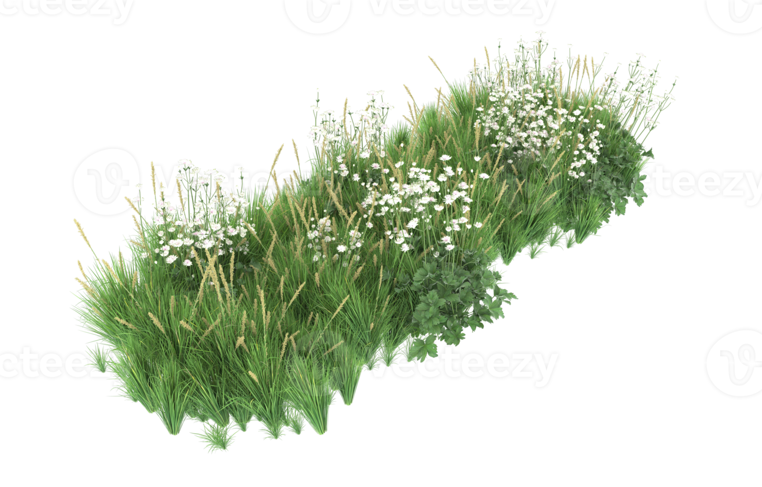 Realistic foliage isolated on transparent background. 3d rendering - illustration png