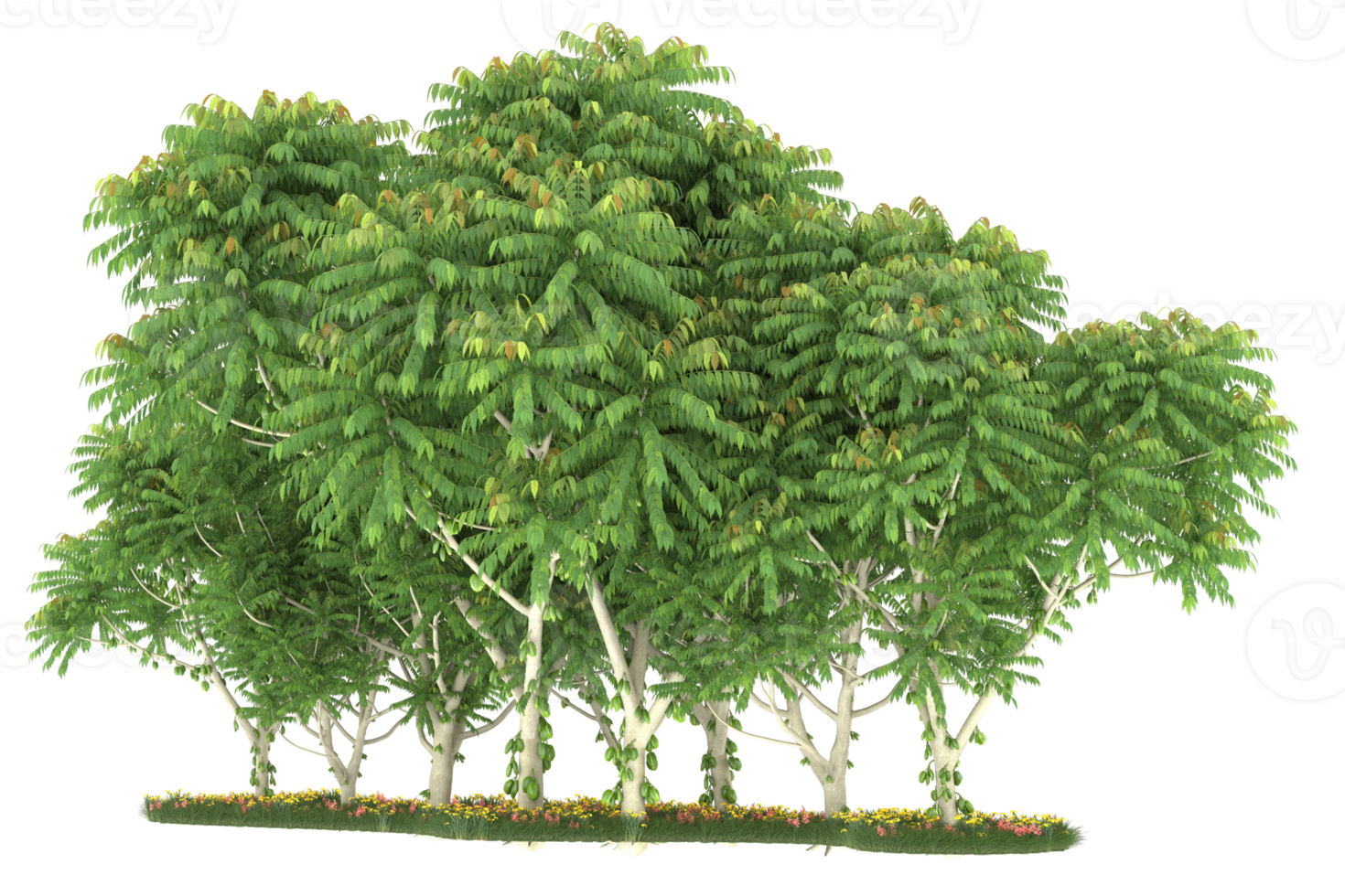 Realistic forest isolated on transparent background. 3d rendering - illustration png