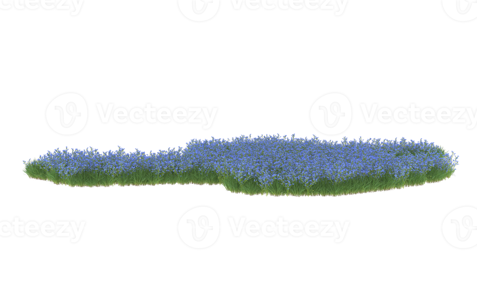 realistisk lövverk isolerat på transparent bakgrund. 3d tolkning - illustration png