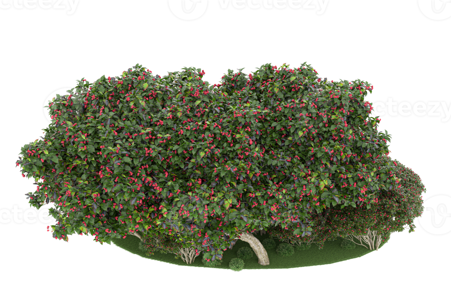 Realistic forest isolated on transparent background. 3d rendering - illustration png