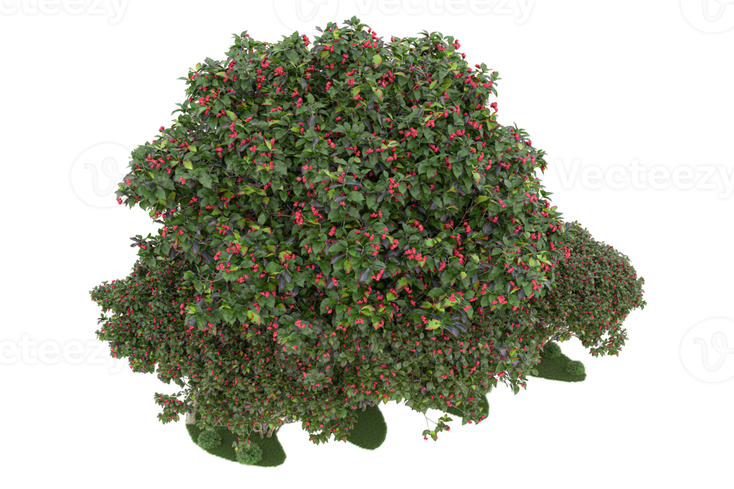 realistico foresta isolato su trasparente sfondo. 3d interpretazione - illustrazione png