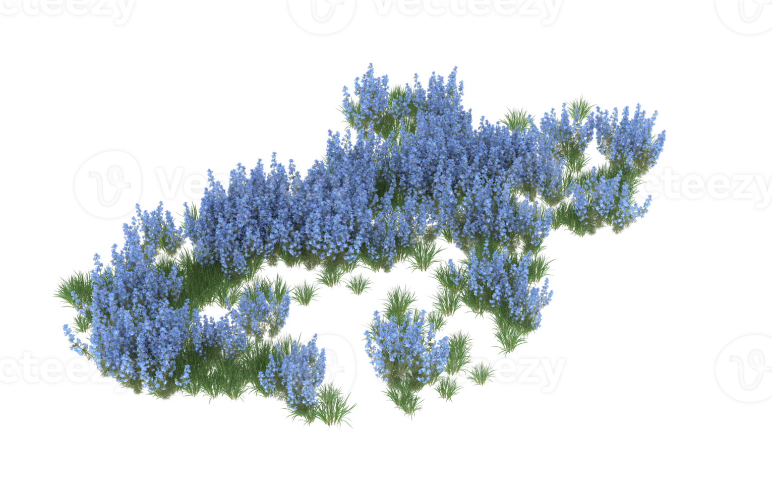 realistisch gebladerte geïsoleerd Aan transparant achtergrond. 3d renderen - illustratie png