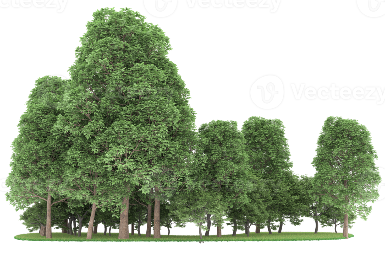 realistico foresta isolato su trasparente sfondo. 3d interpretazione - illustrazione png