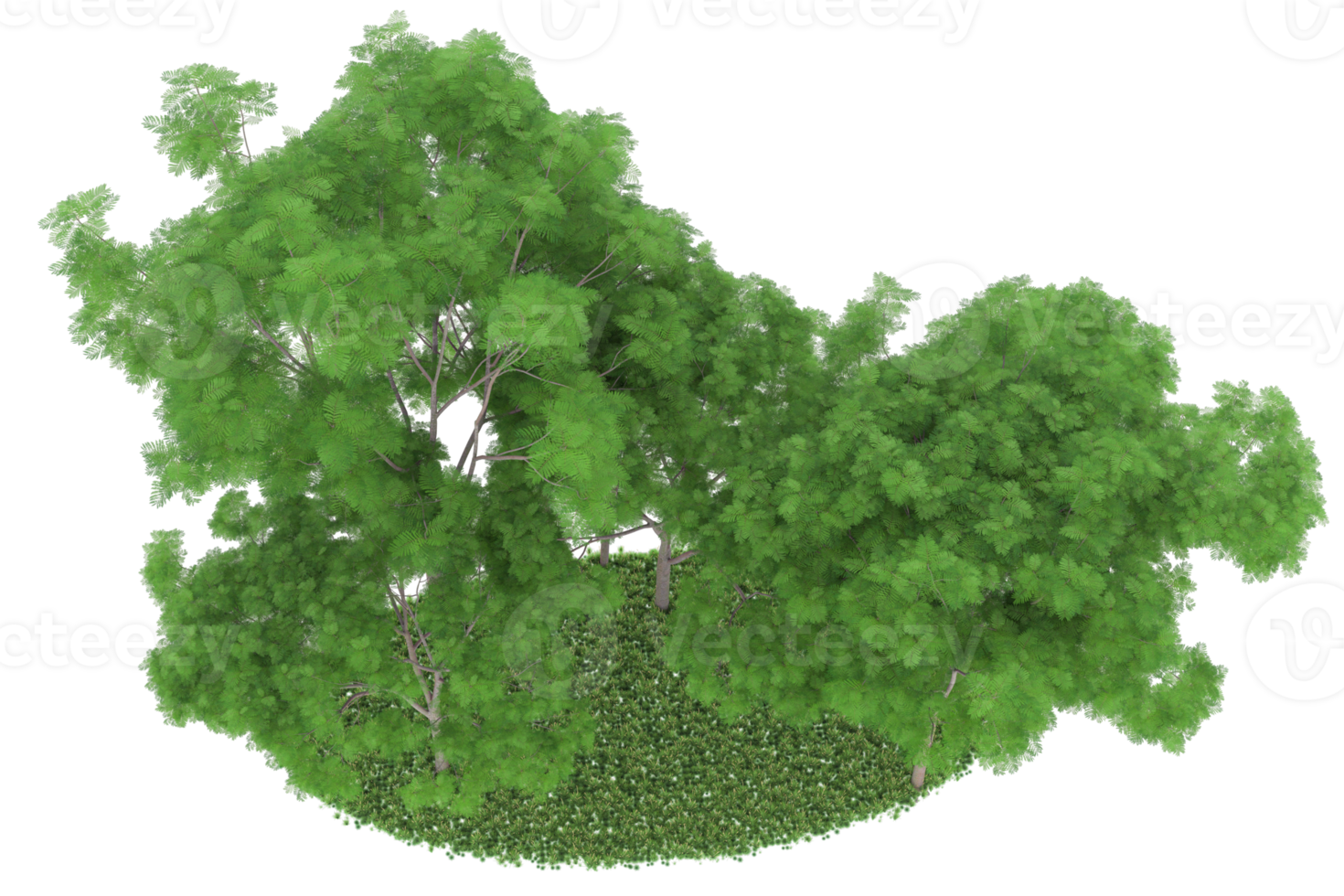 Realistic forest isolated on transparent background. 3d rendering - illustration png