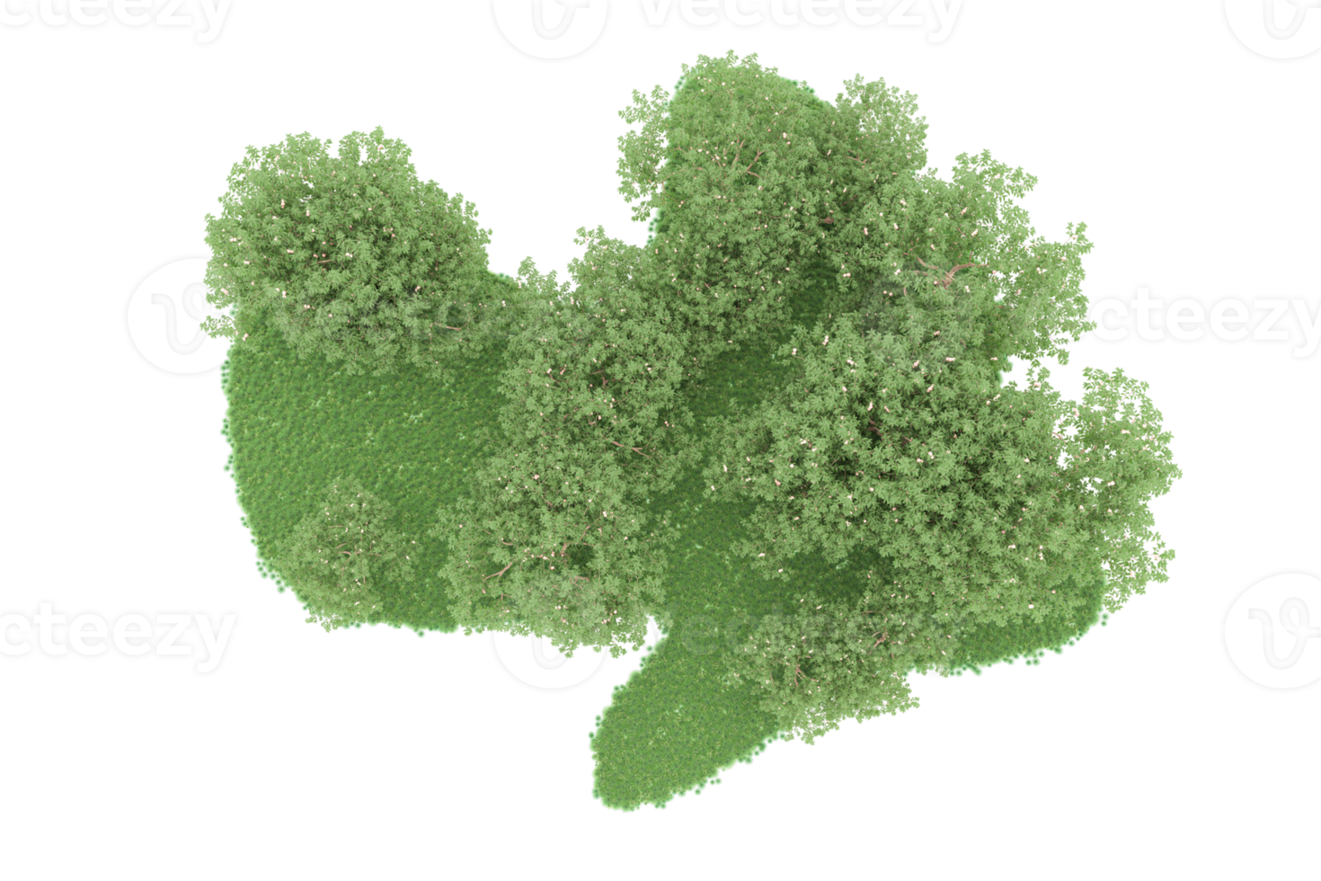 Realistic forest isolated on transparent background. 3d rendering - illustration png