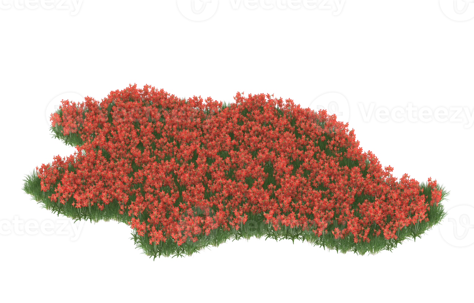 Realistic foliage isolated on transparent background. 3d rendering - illustration png