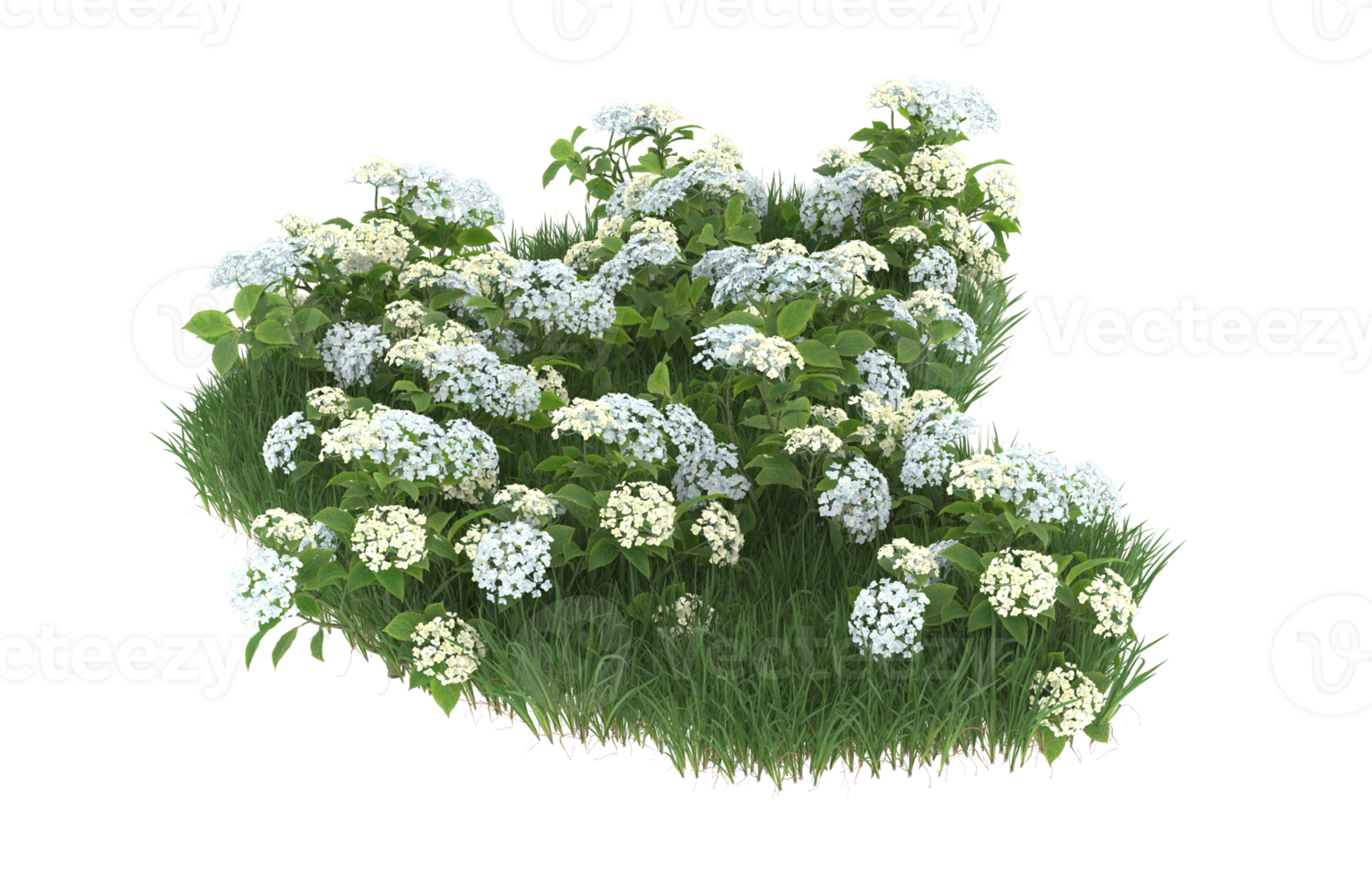 Realistic foliage isolated on transparent background. 3d rendering - illustration png