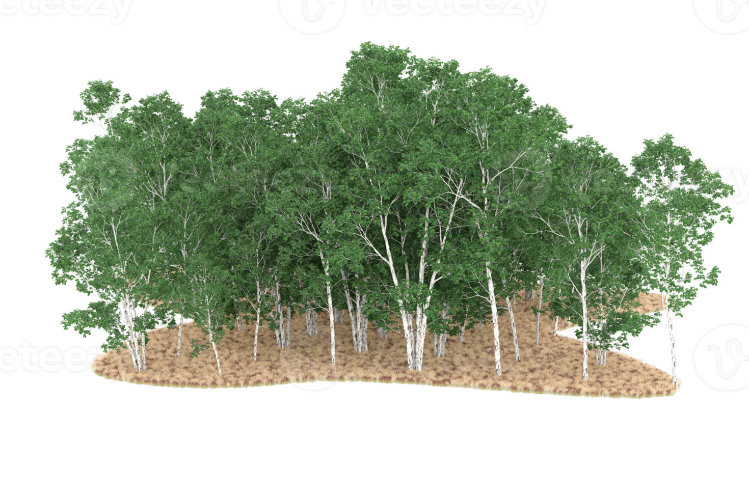 Realistic forest isolated on transparent background. 3d rendering - illustration png