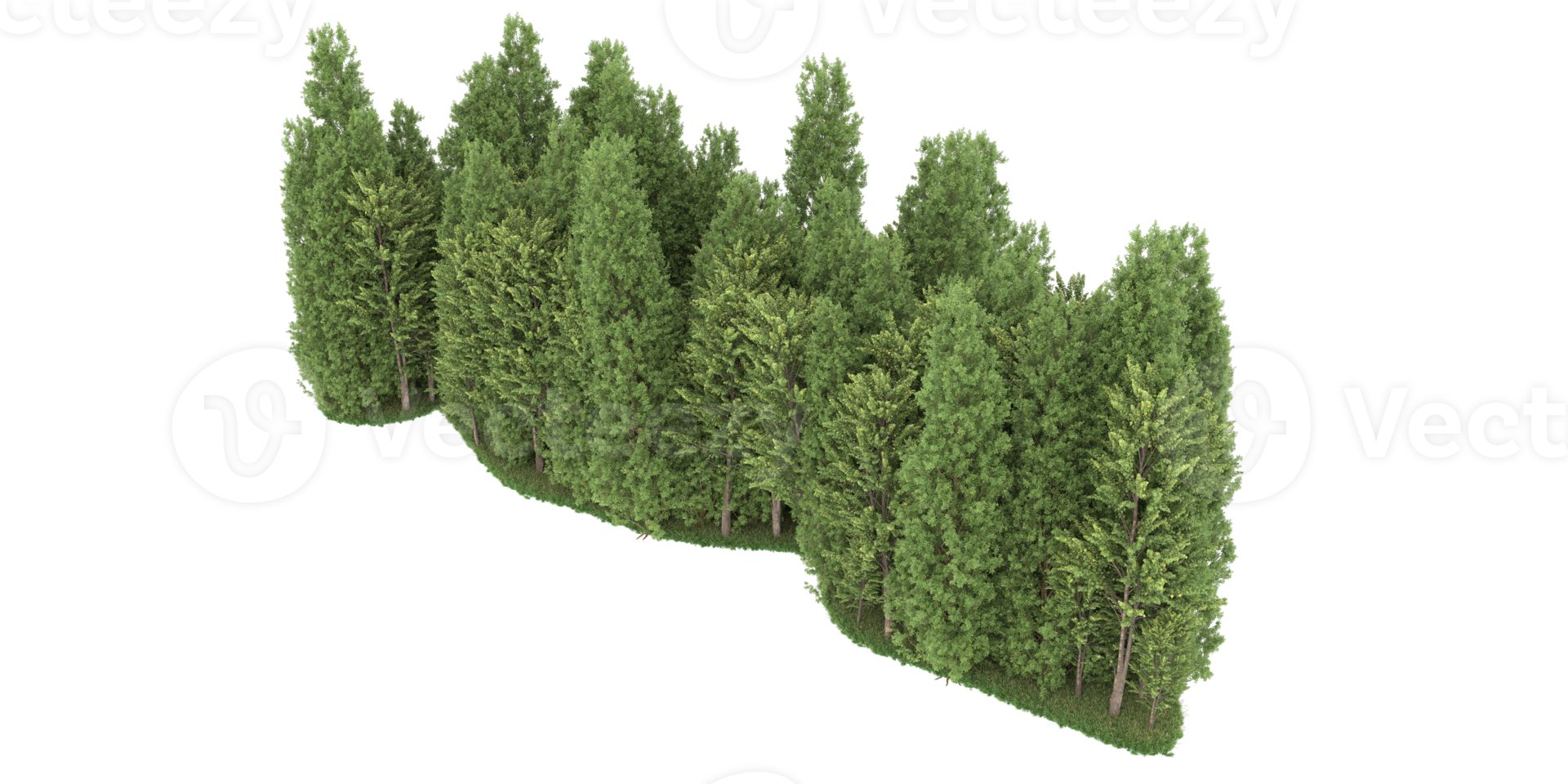 Realistic forest isolated on transparent background. 3d rendering - illustration png