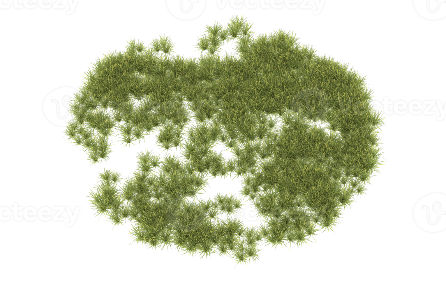 Realistic foliage isolated on transparent background. 3d rendering - illustration png