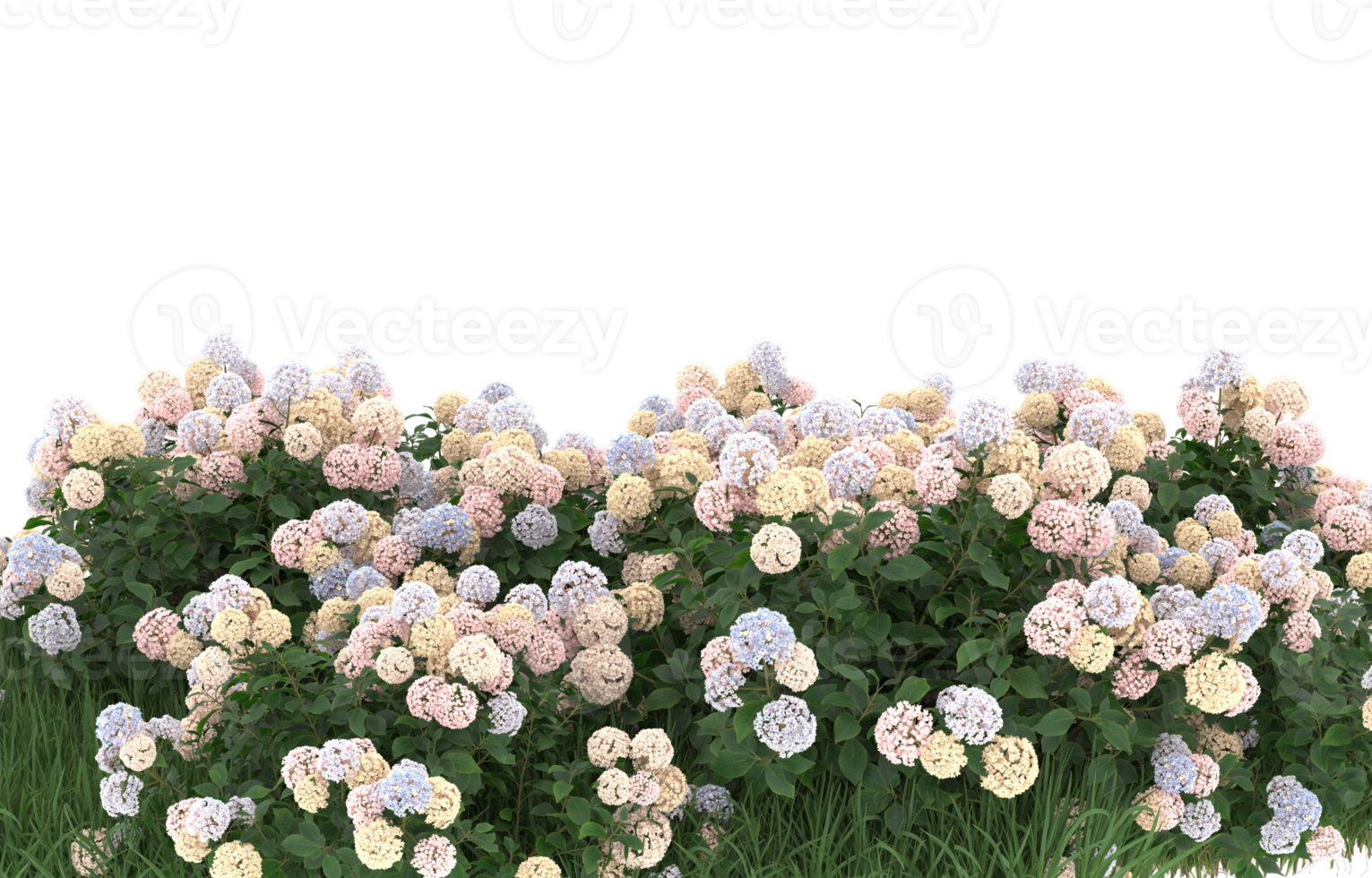 Realistic foliage isolated on transparent background. 3d rendering - illustration png