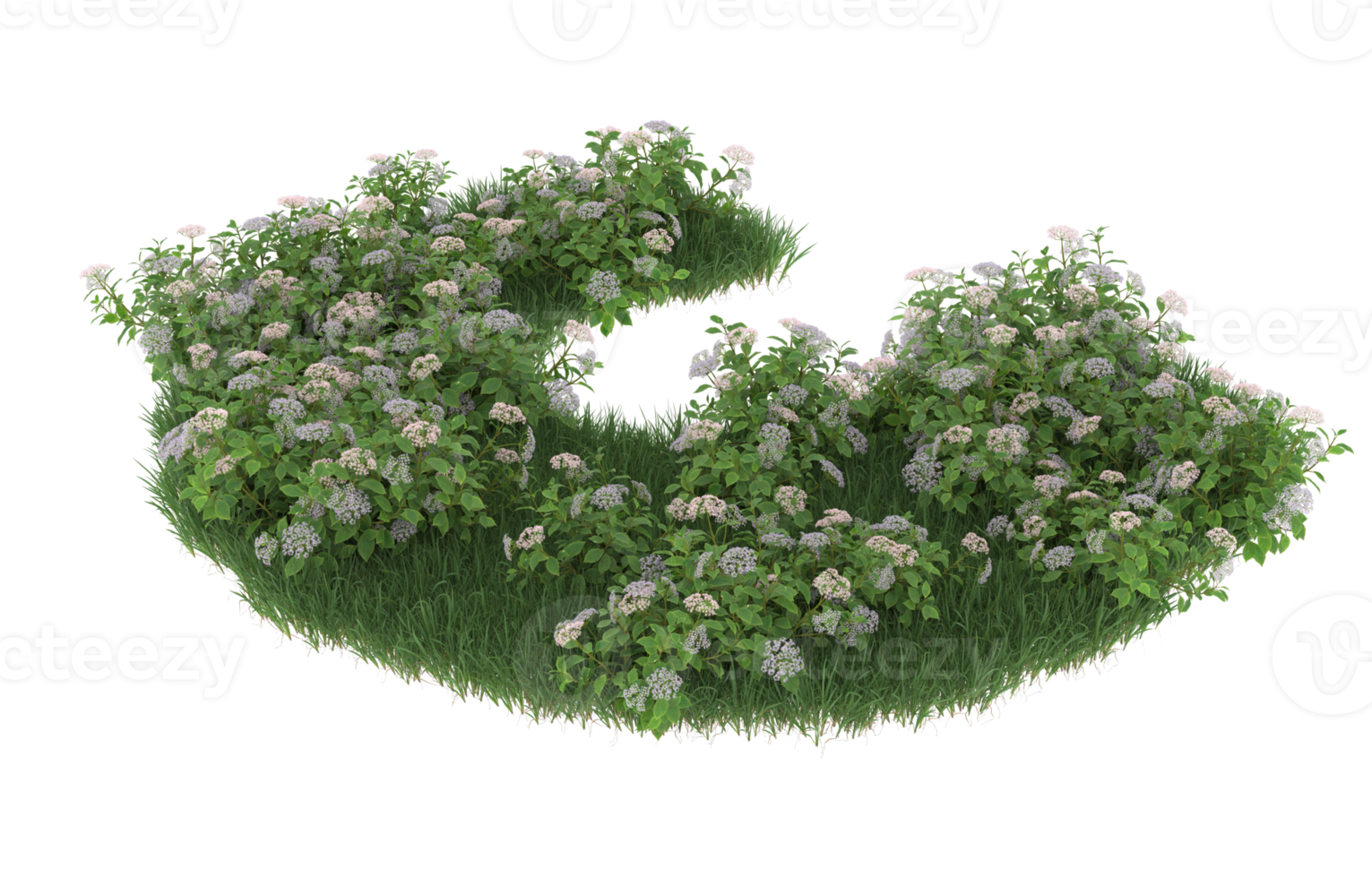 Realistic foliage isolated on transparent background. 3d rendering - illustration png