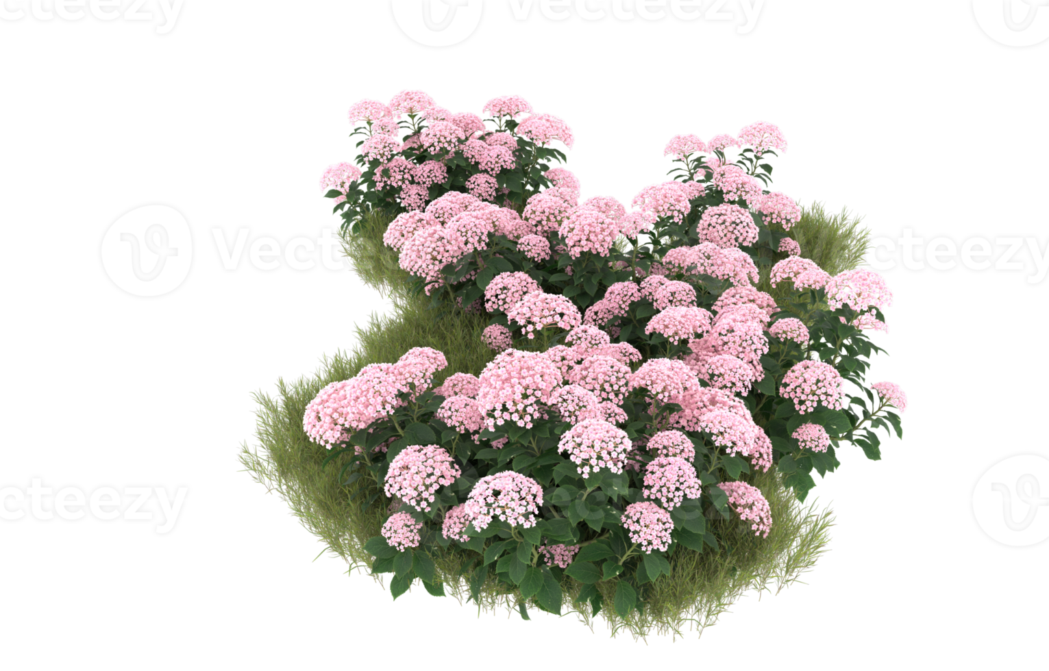 Realistic foliage isolated on transparent background. 3d rendering - illustration png