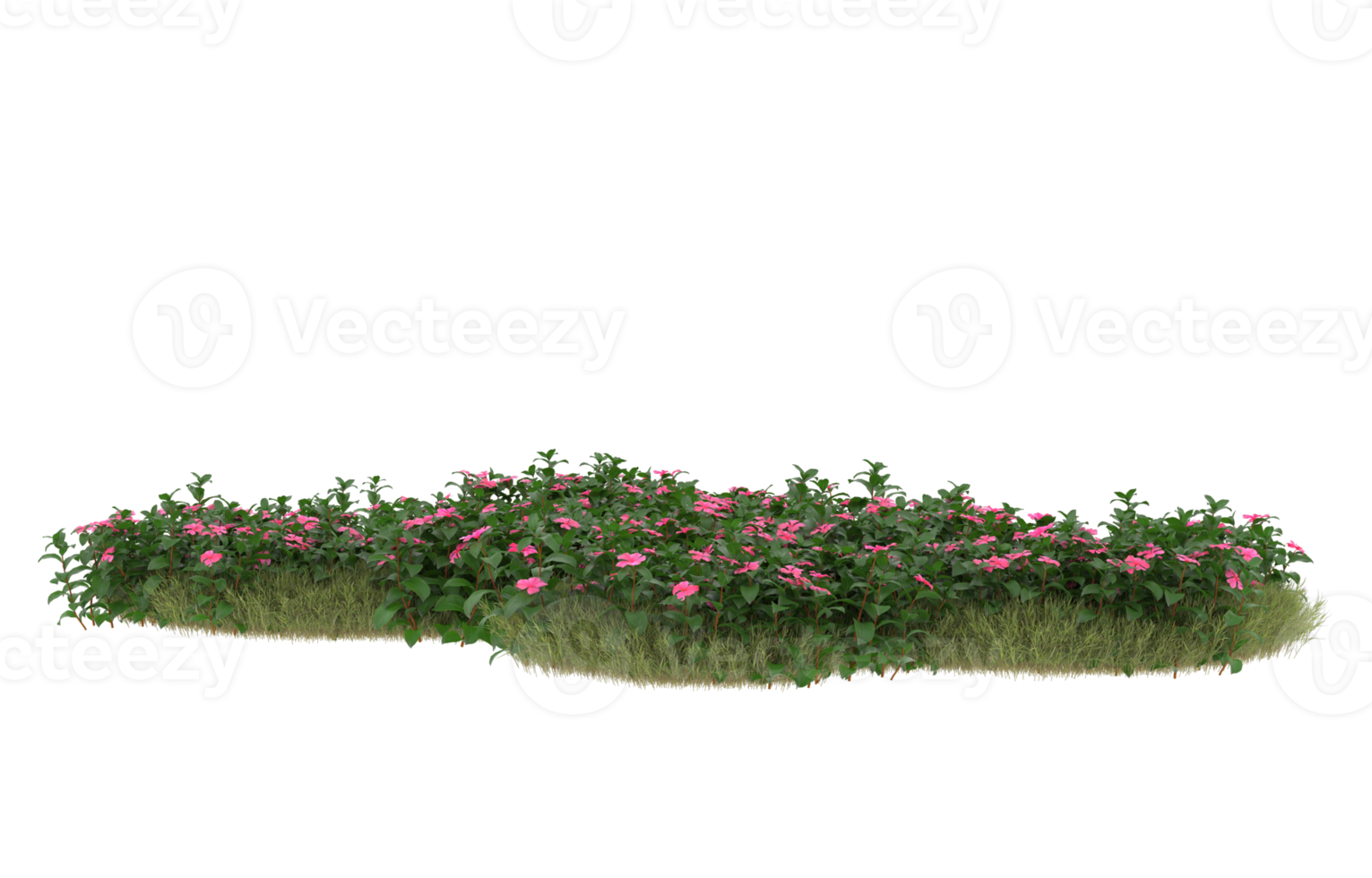 Realistic foliage isolated on transparent background. 3d rendering - illustration png