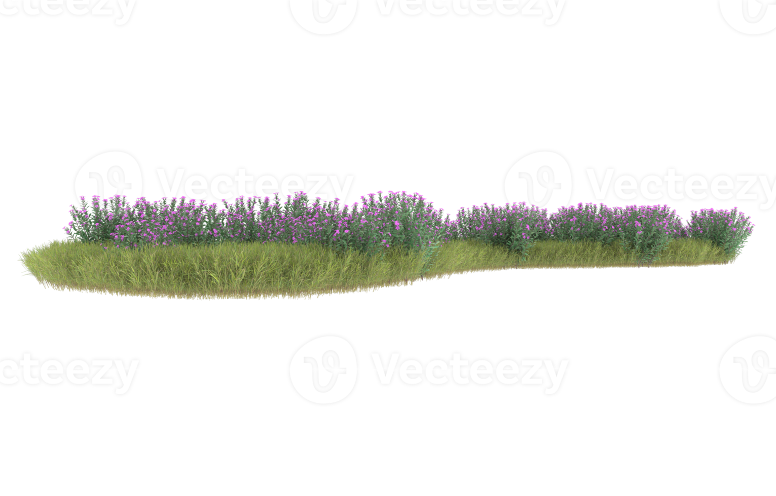 realistisk lövverk isolerat på transparent bakgrund. 3d tolkning - illustration png