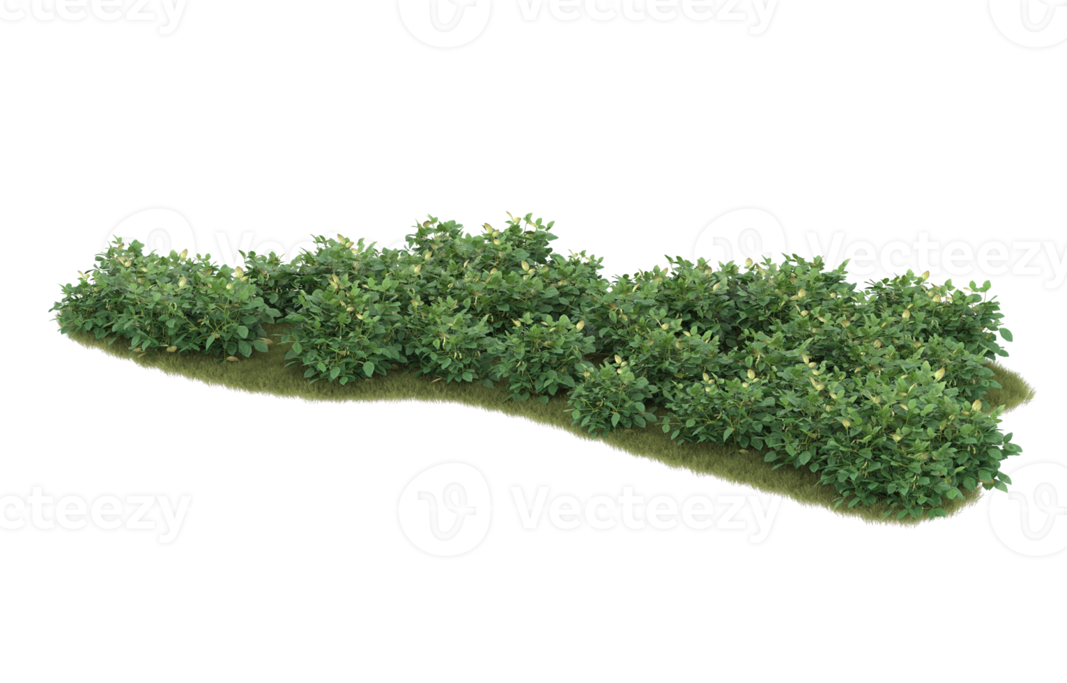 Realistic foliage isolated on transparent background. 3d rendering - illustration png