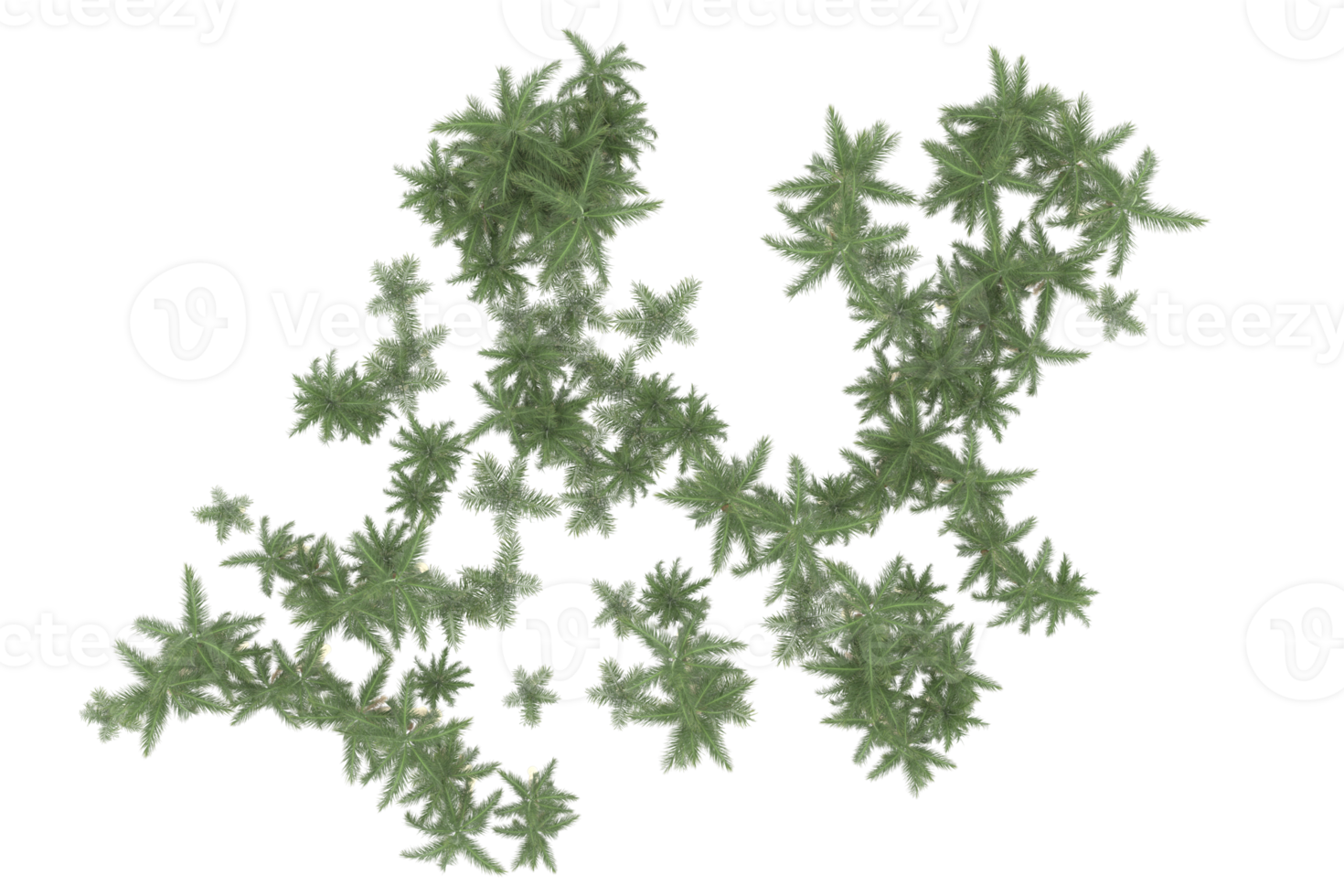 Palm trees isolated on transparent background. 3d rendering - illustration png