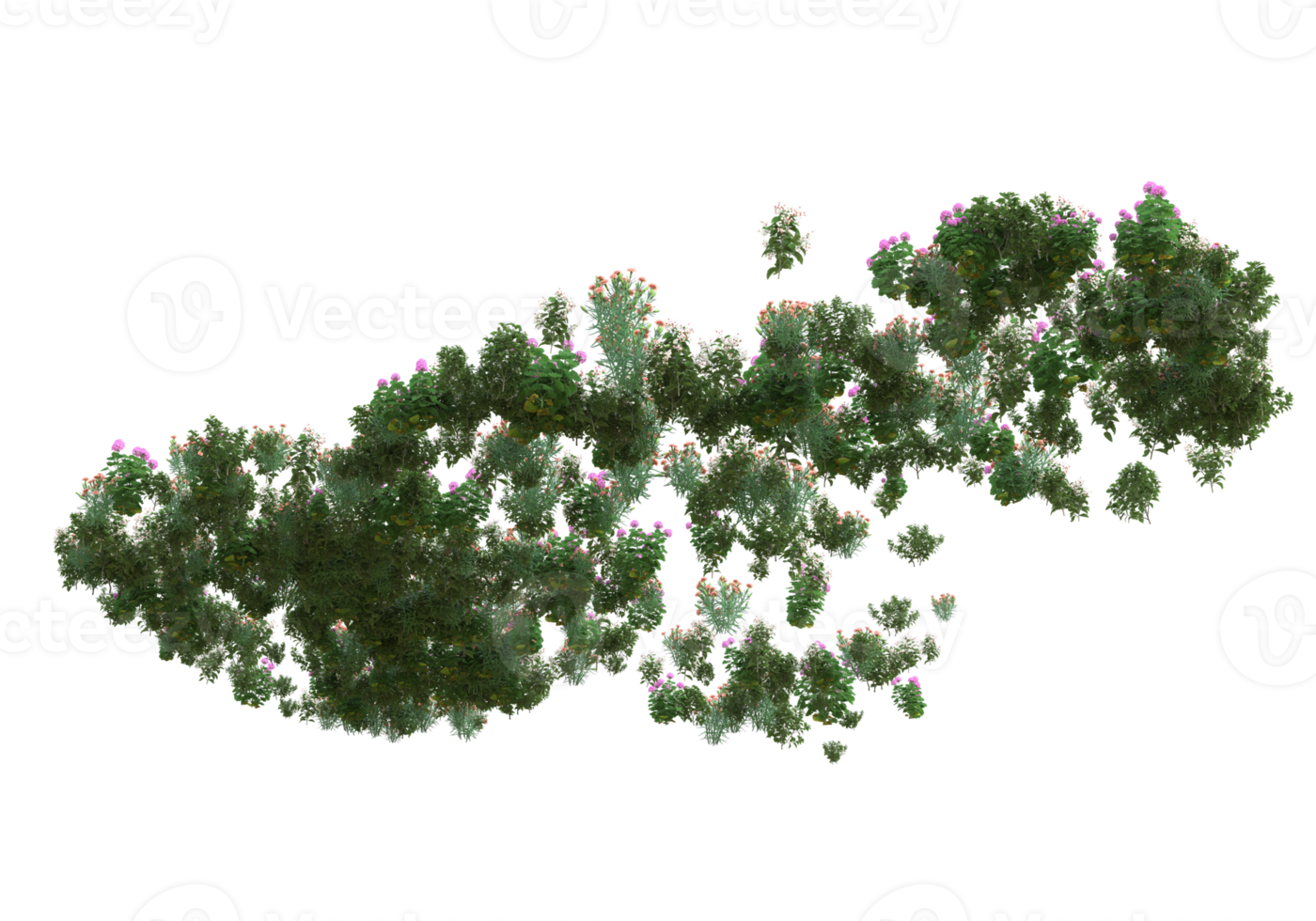 realistisk lövverk isolerat på transparent bakgrund. 3d tolkning - illustration png