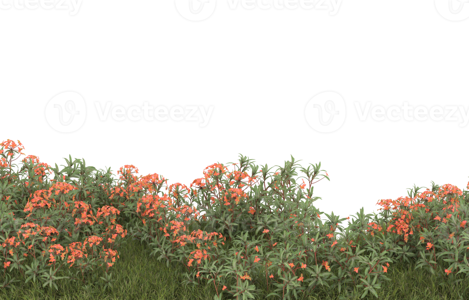 Realistic foliage isolated on transparent background. 3d rendering - illustration png