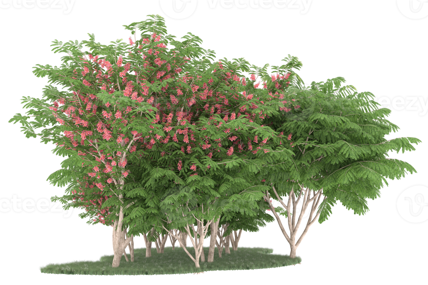 Realistic forest isolated on transparent background. 3d rendering - illustration png