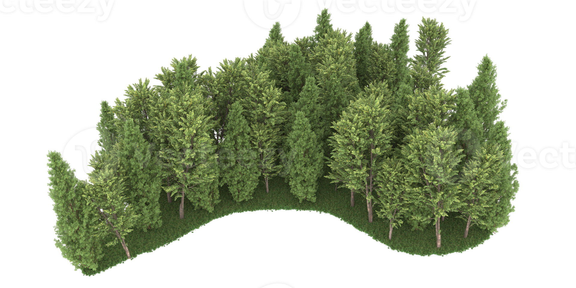 Realistic forest isolated on transparent background. 3d rendering - illustration png