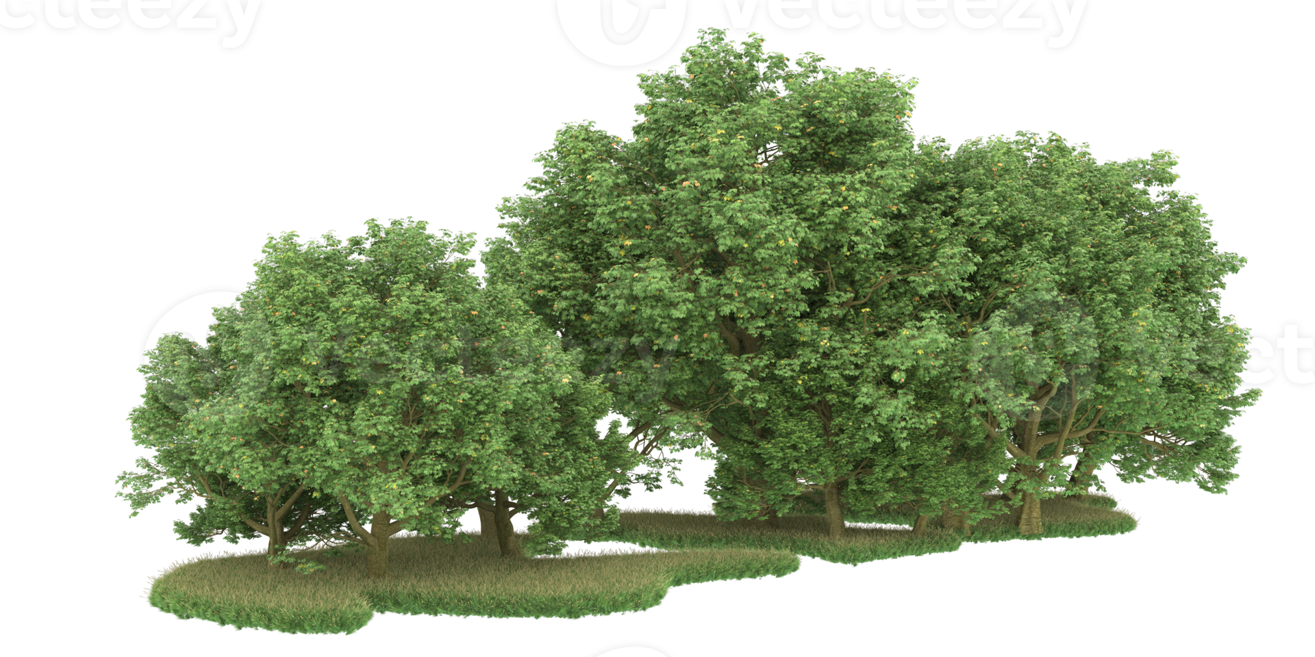 realistico foresta isolato su trasparente sfondo. 3d interpretazione - illustrazione png