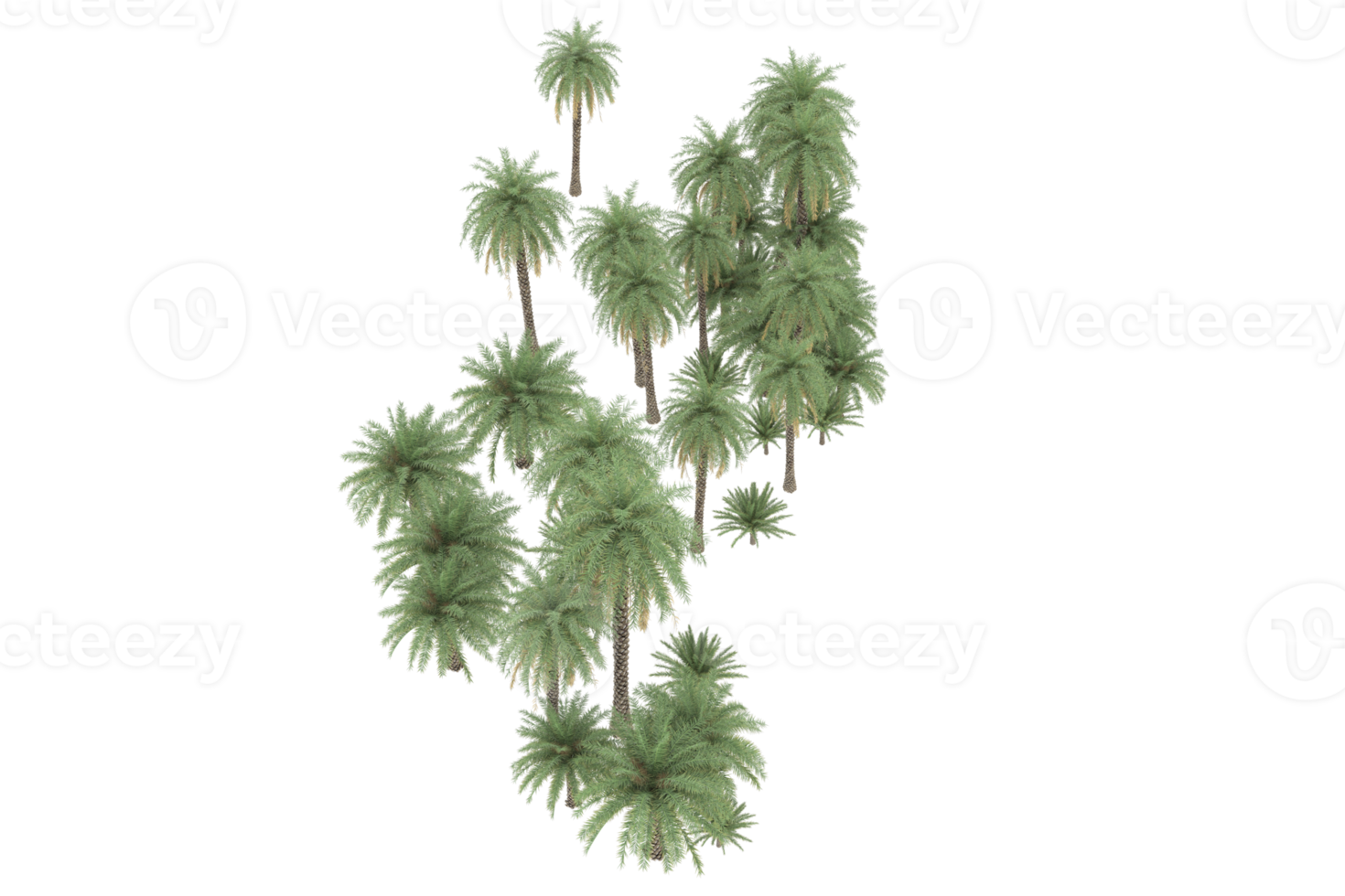 palma alberi isolato su trasparente sfondo. 3d interpretazione - illustrazione png