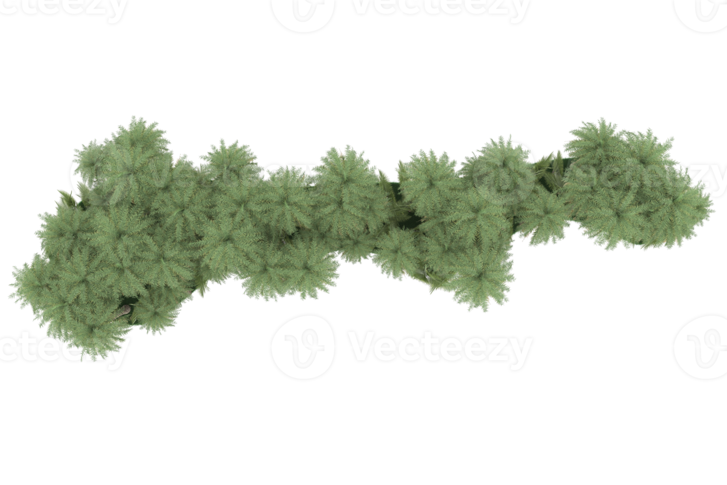 handflatan träd isolerat på transparent bakgrund. 3d tolkning - illustration png