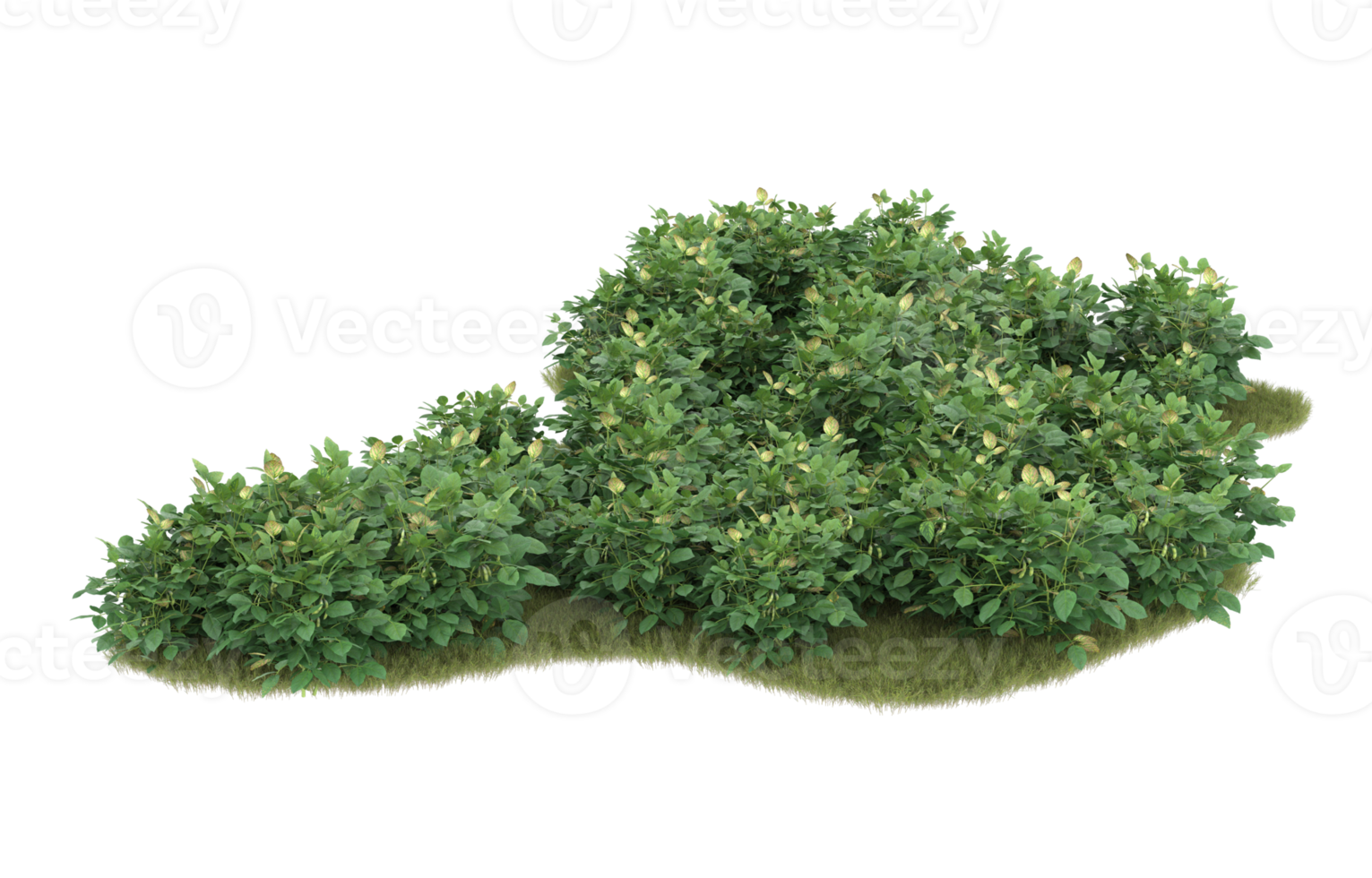 Realistic foliage isolated on transparent background. 3d rendering - illustration png