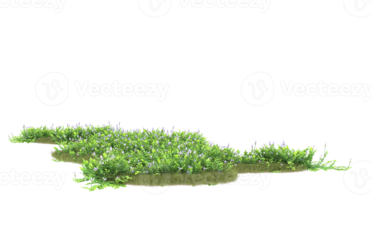 realistisk lövverk isolerat på transparent bakgrund. 3d tolkning - illustration png