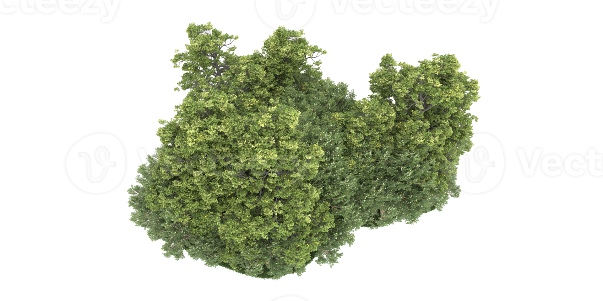 Realistic forest isolated on transparent background. 3d rendering - illustration png