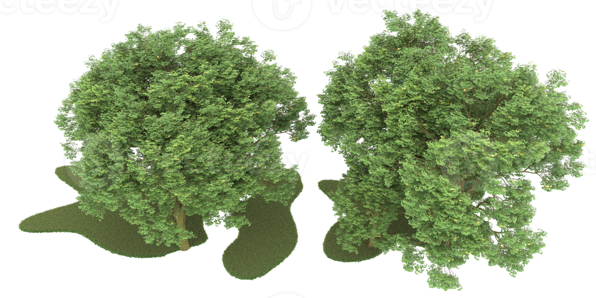 Realistic forest isolated on transparent background. 3d rendering - illustration png