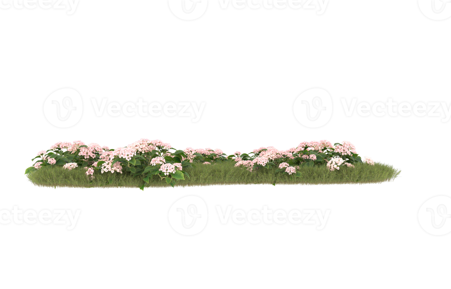 Realistic foliage isolated on transparent background. 3d rendering - illustration png