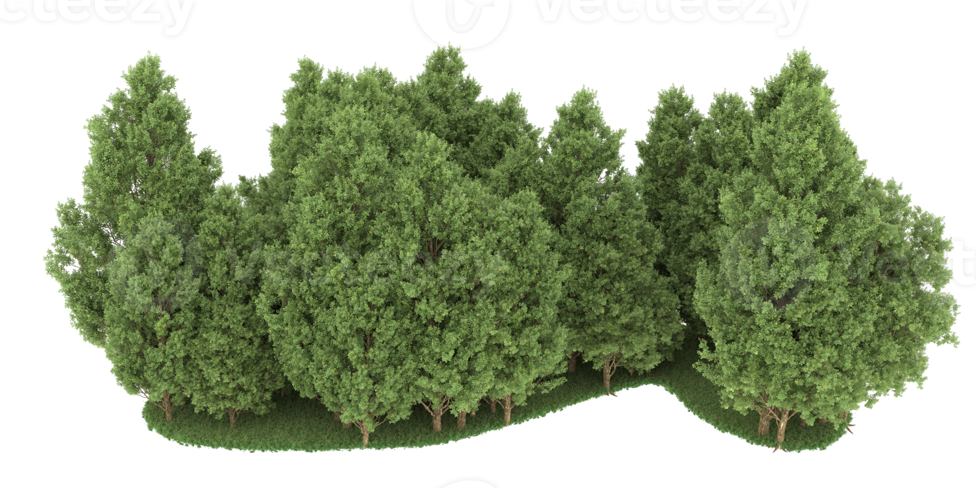 Realistic forest isolated on transparent background. 3d rendering - illustration png