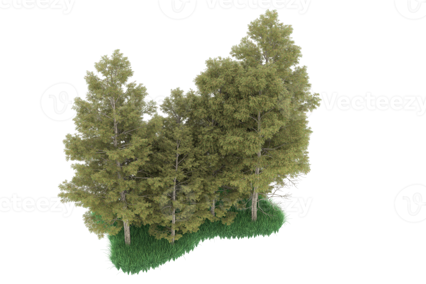 Realistic forest isolated on transparent background. 3d rendering - illustration png