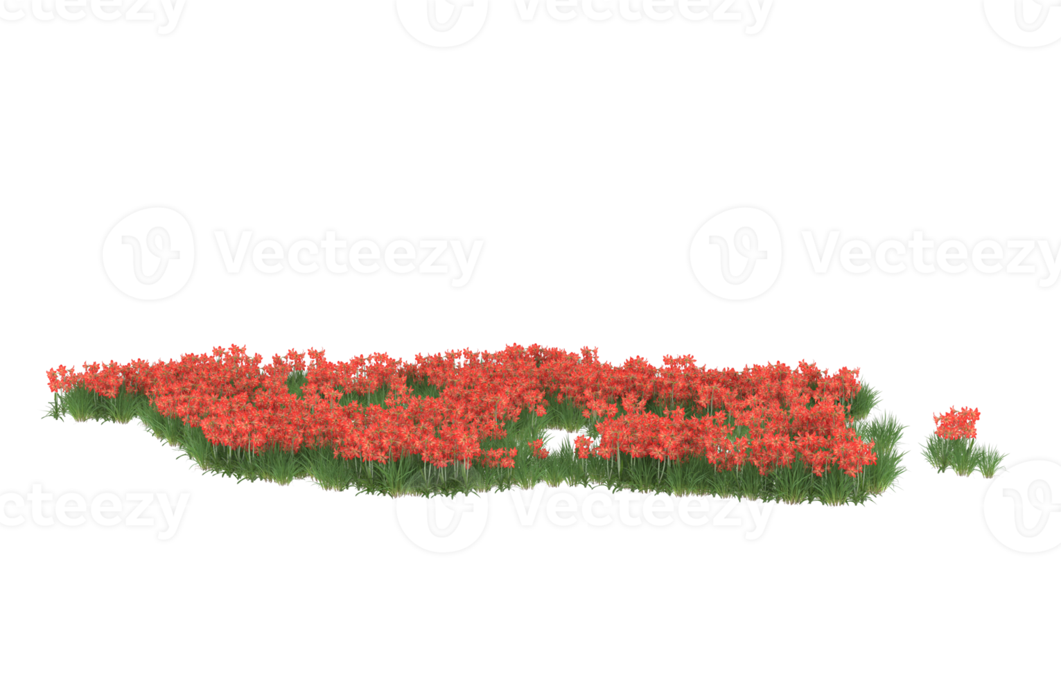 Realistic foliage isolated on transparent background. 3d rendering - illustration png