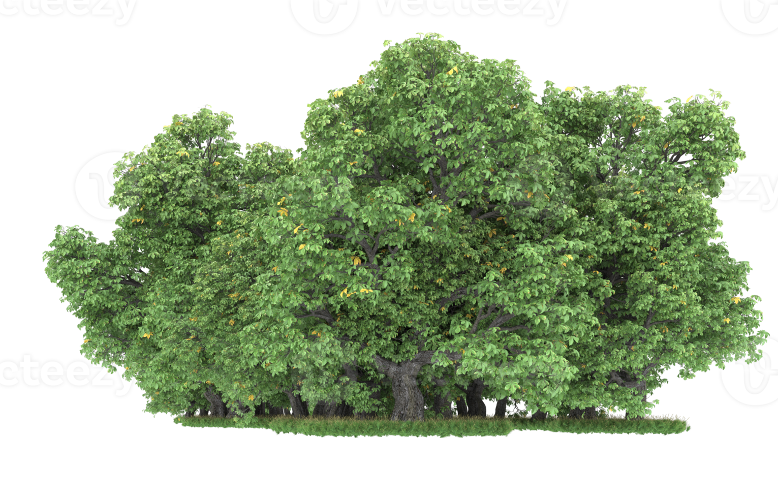 Realistic foliage isolated on transparent background. 3d rendering - illustration png