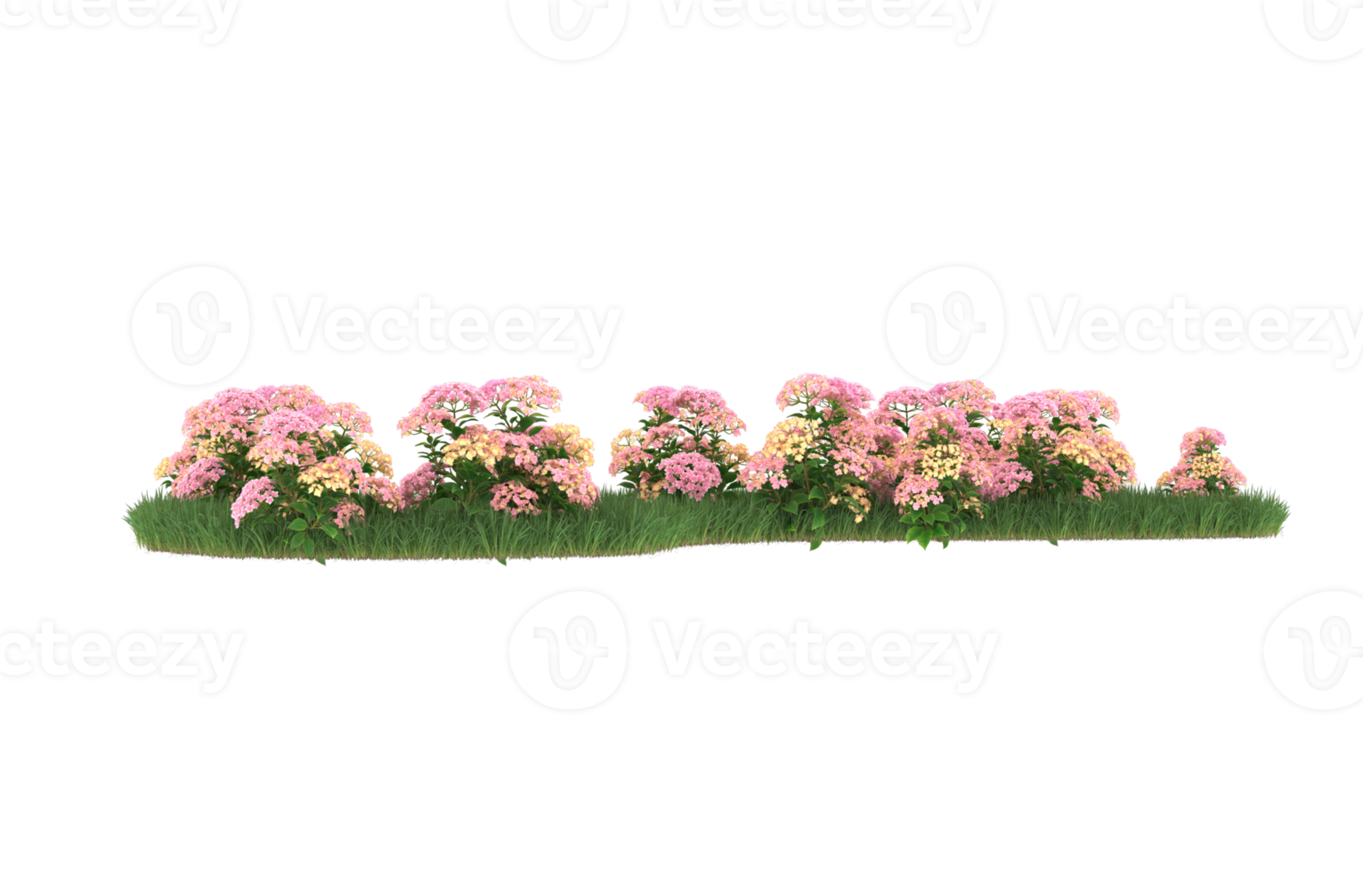 Realistic foliage isolated on transparent background. 3d rendering - illustration png