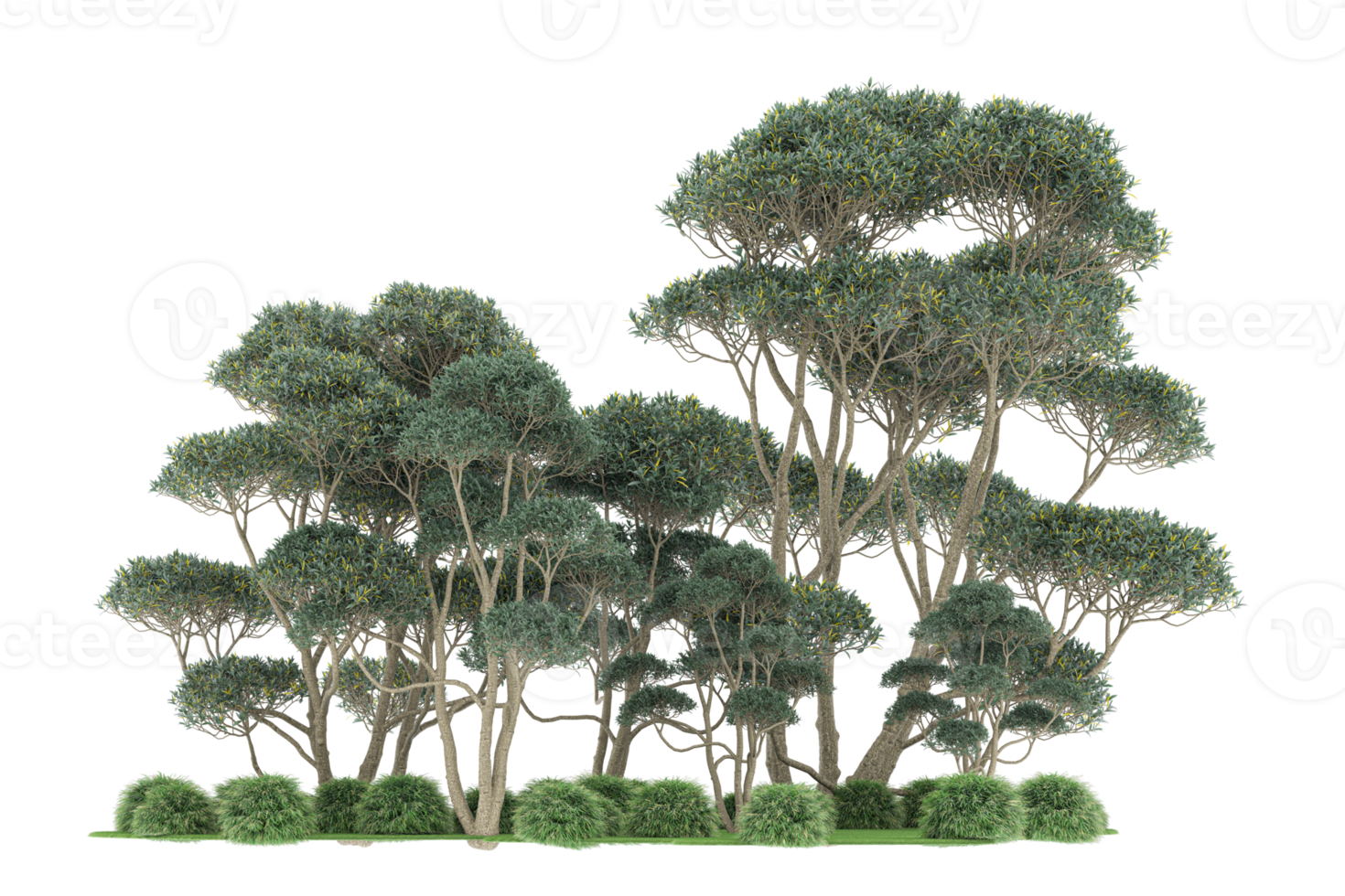 Realistic forest isolated on transparent background. 3d rendering - illustration png