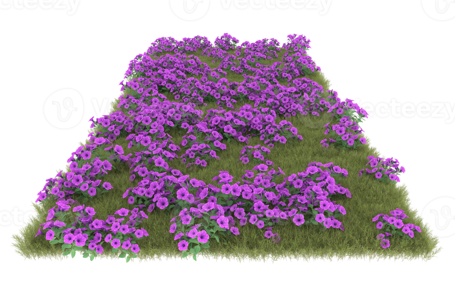 Realistic foliage isolated on transparent background. 3d rendering - illustration png