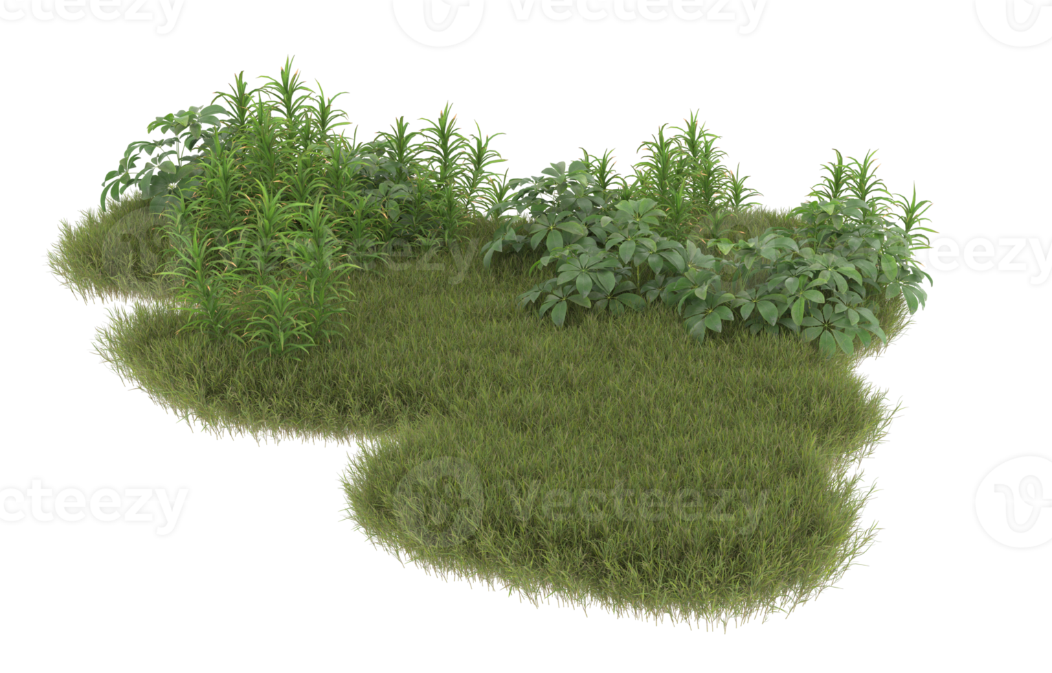 Realistic foliage isolated on transparent background. 3d rendering - illustration png