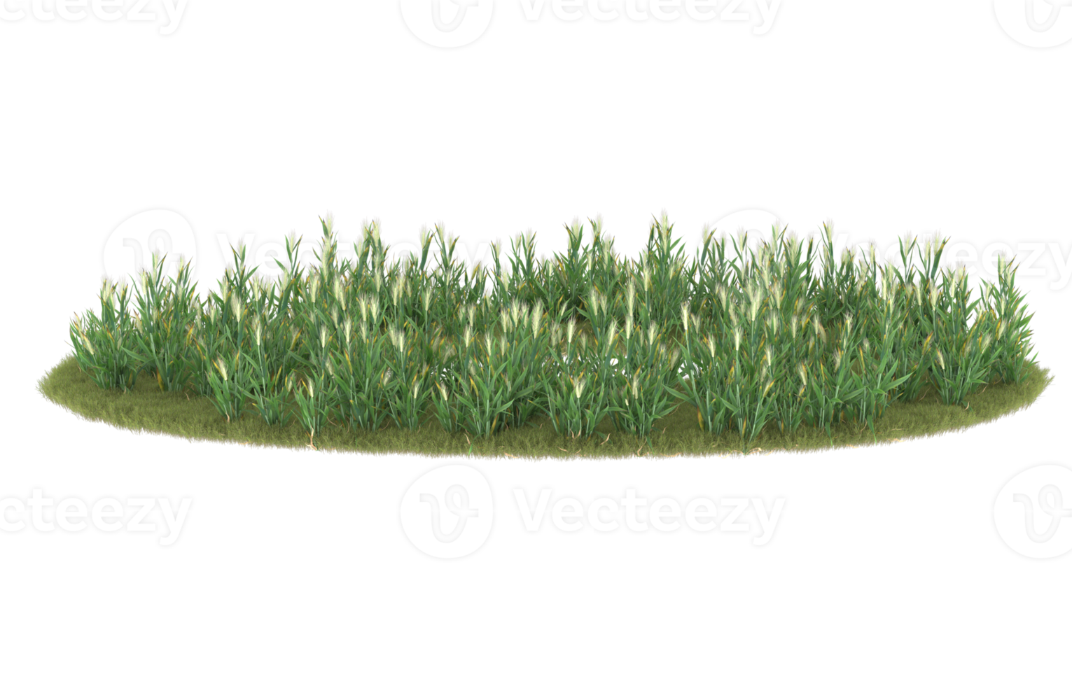 Realistic foliage isolated on transparent background. 3d rendering - illustration png