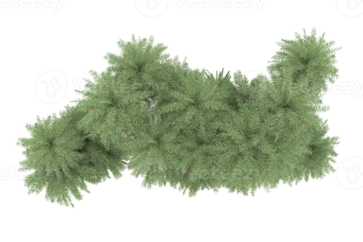 Palm trees isolated on transparent background. 3d rendering - illustration png