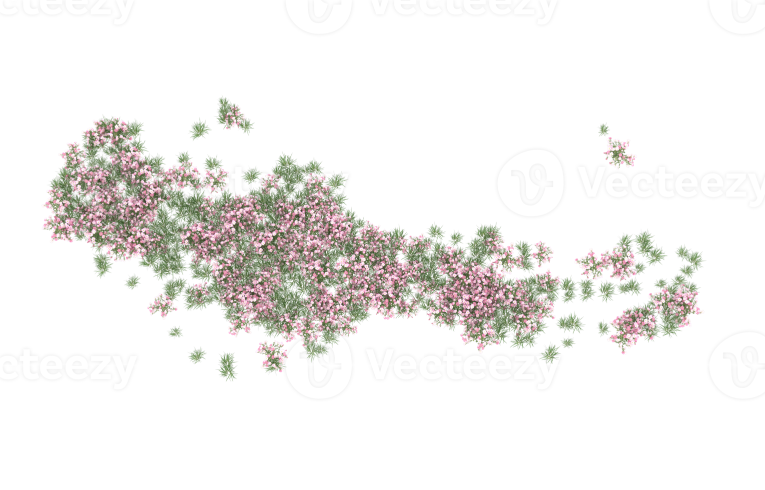 Realistic foliage isolated on transparent background. 3d rendering - illustration png