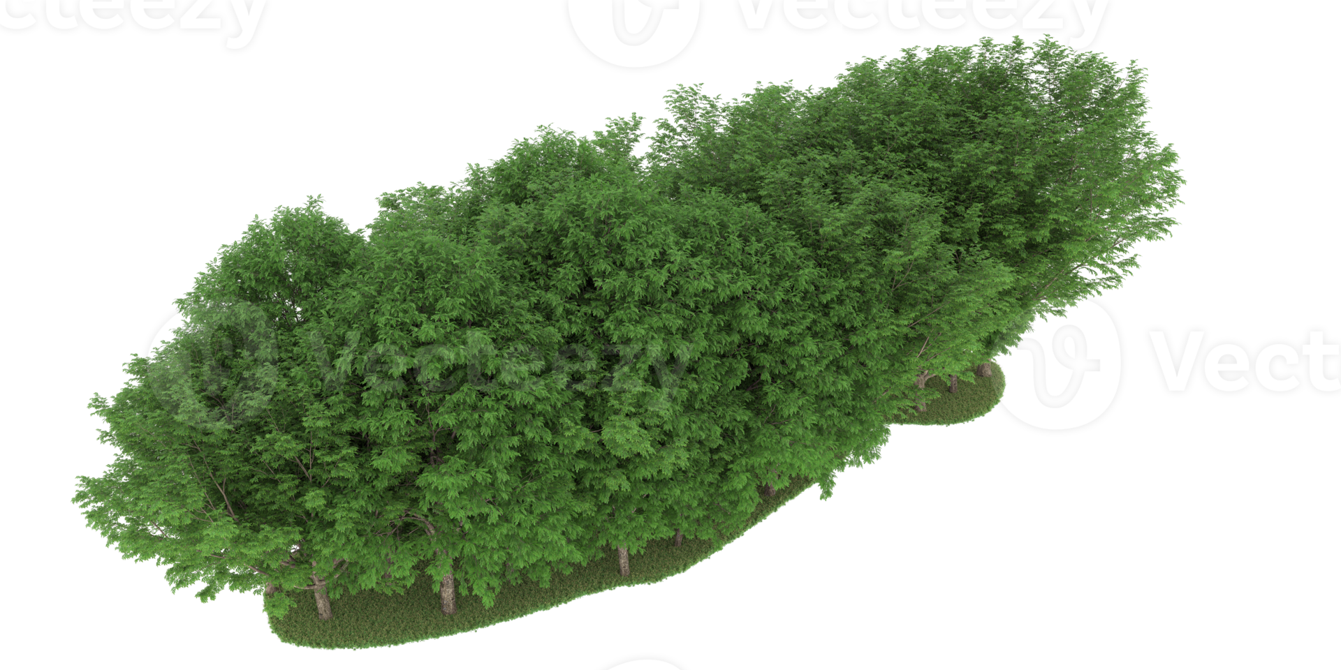 Realistic forest isolated on transparent background. 3d rendering - illustration png