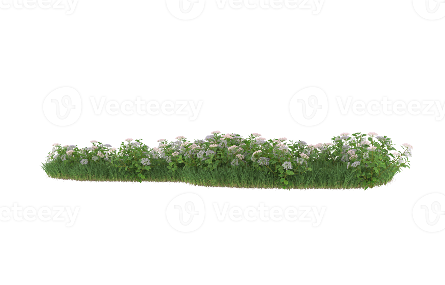 Realistic foliage isolated on transparent background. 3d rendering - illustration png