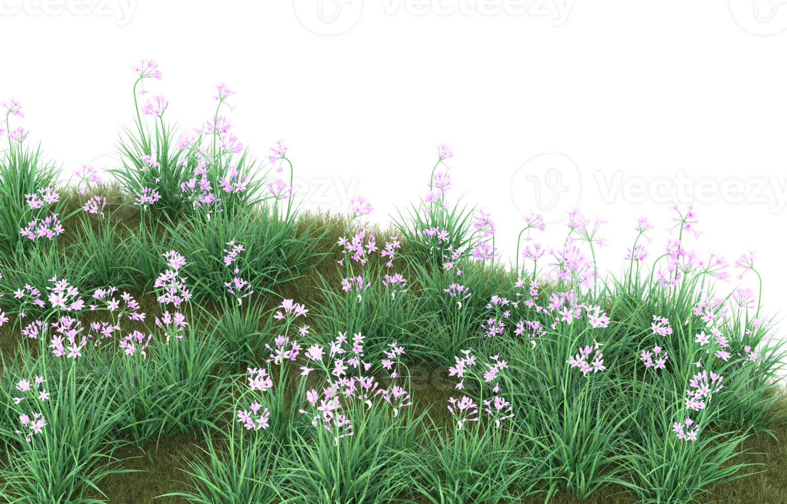 Realistic foliage isolated on transparent background. 3d rendering - illustration png