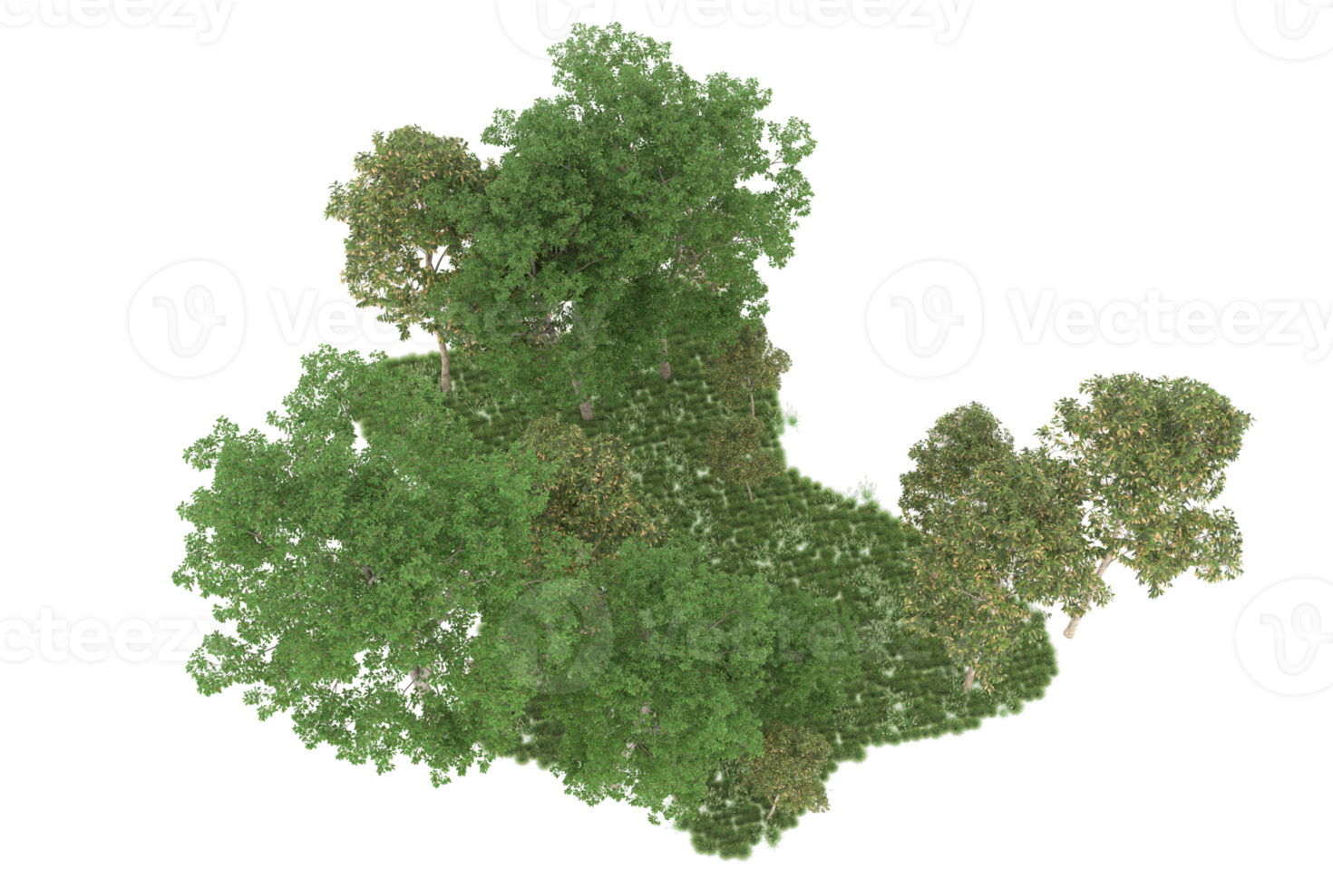 Realistic forest isolated on transparent background. 3d rendering - illustration png
